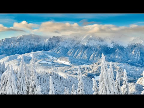 DJ 713 Hotel Cota O Mie - Cabana Dichiu