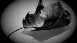 Pereza - "Conjunto" (Videoclip No Oficial)