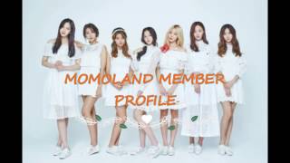 [MOMOLAND] MEMBER PROFILES YOU NEED TO KNOW