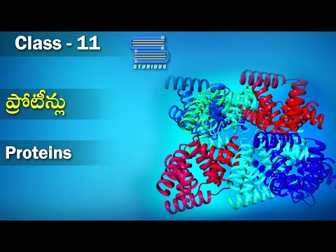 ప్రోటీన్లు - Proteins | Biomolecules