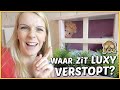 LUXY GAAT VERSTOPPEN OP HAAR KAMER ? | Bellinga Vlog #2044
