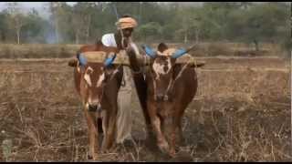 [問片] 找一部勞動成果要回饋供應商的紀錄片