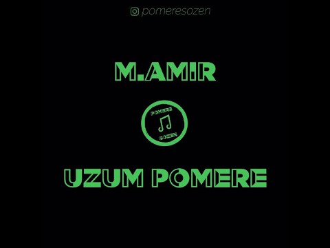 M.AMIR - Uzum pomere / Lyric Video / pomerê sozen