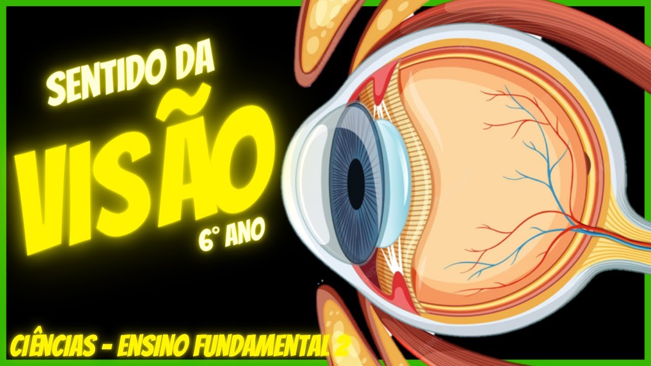 Como a visão funciona? | Sentido da visão | Ciências - Aula completa | 2022