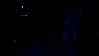 Elephant Song - The Strokes(ac)