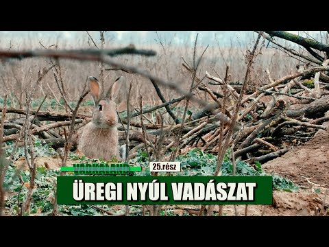 Vadkaland (25.rész) - ÜREGI NYÚL VADÁSZAT