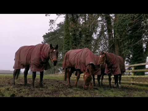 Hurricane Fly Winter Festival Memories