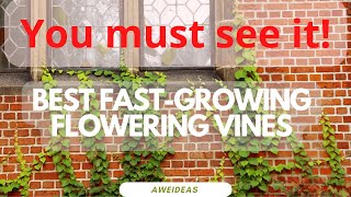 You must see it! / TOP 34 Fast-Growing Flowering Vines - Best Wall Climbing Vines to Plant