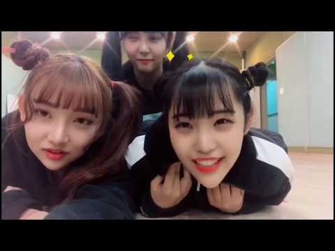 Pink Fantasy - Why u HAVE TO stan them