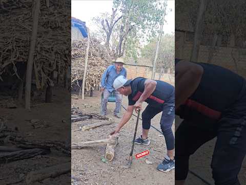 RAJANDO LEÑA #youtubeshorts #humor #viral #comedia