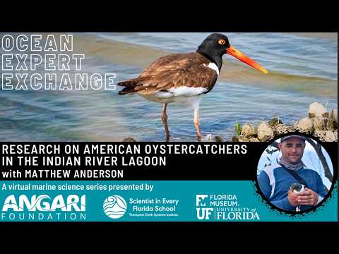 GMT20260304 135530 Recording 3440x1440