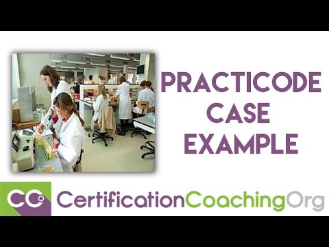 Getting to Know the Practicode Case Example