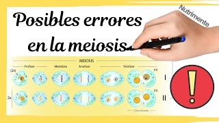 Posibles ERRORES en la MEIOSIS [Poliploidías y Aneuploidías]