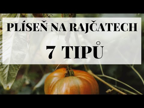 , title : 'Plíseň na rajčatech - 7 tipů jak s ní bojovat'