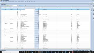 Stamdata for debitor/kunde i KeyBalance