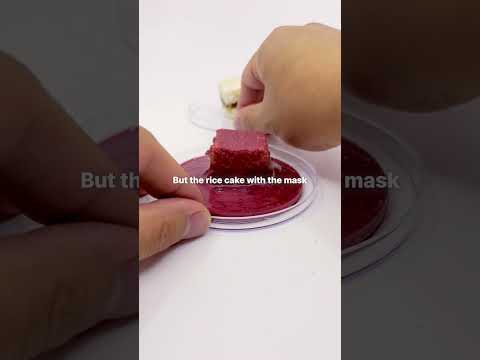 "72 Hours of Hydration, Even Rice Cakes Are Amazed"