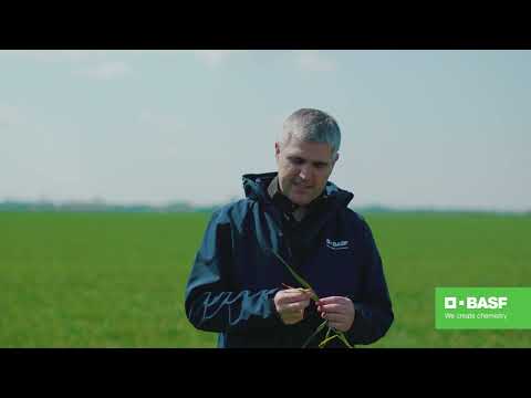 BASF Agro Patrola 2022  - U ključnim momentima formiranja potencijala za prinos izaberite PRIAXOR®!