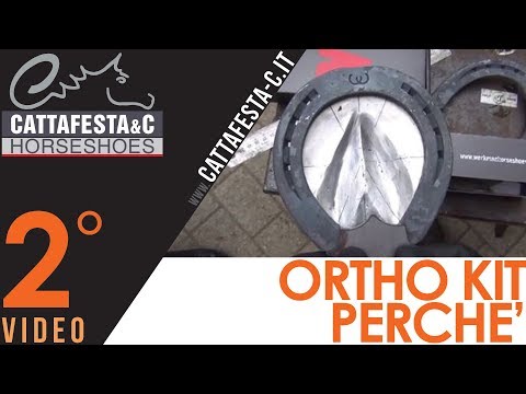 Ferri di cavallo ortopedici, parte 2