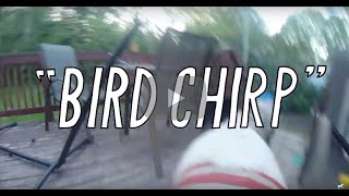 Bird Chirp Music Video