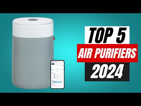 BEST Air Purifiers in 2024 : Top 5 for Everyone
