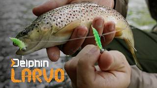 Delphin Umělá nástraha Larvo Cheese Maggot 3 cm 0,5 g - 15 ks