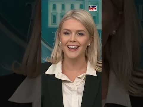 Video | Should these two republicans be primaried?