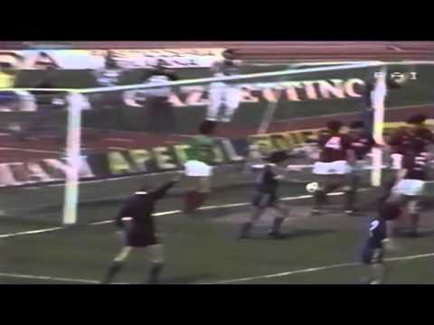 Serie A 1983-1984, day 27 Verona - Torino 2-2 (Fontolan o.g., Fanna, Bruni, Schachner)