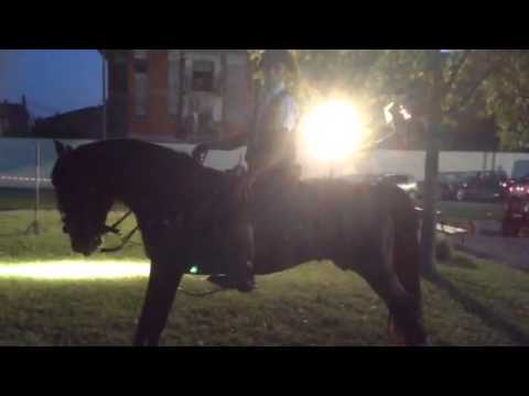 3* torneo. Western a cancello ed Arnone