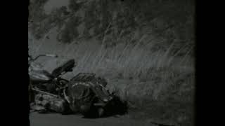 Summer Wasting - Belle &amp; Sebastian