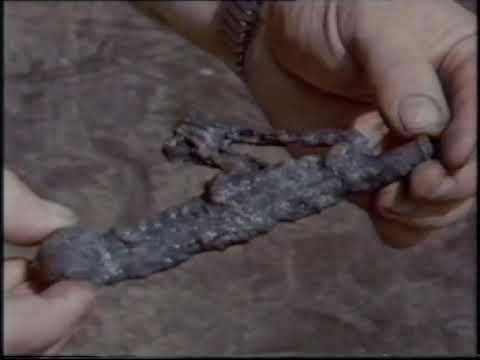 The Mary Rose - Tudors and Stuarts: BBC LANDMARKS