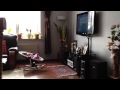 Babytv Addicted Mar 30 2013