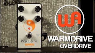Video thumbnail for Warm Audio Warmdrive Overdrive by Pedal of the Day