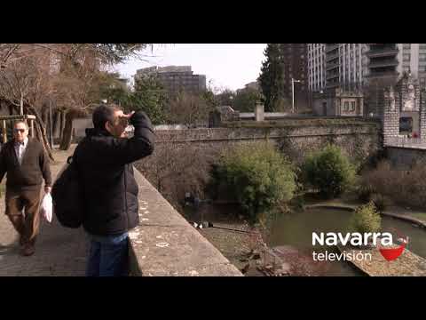 'Veranillo en pleno invierno': disfruta de una Pamplona primaveral