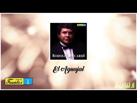 El Aguajal - Rodolfo Aicardi Y Su Típica Ra7 (Audio) | Discos Fuentes
