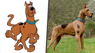 Scooby Doo in Real Life! All Characters