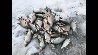 Платная рыбалка в иркутской области