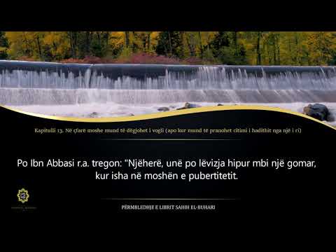 Sahih Buhari - Hadith 67 - Në çfarë moshe mund të dëgjohet i vogli (apo kur mund të pranohet ..