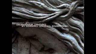 Venetian Snares- The Hopeless Pursuit of Remission