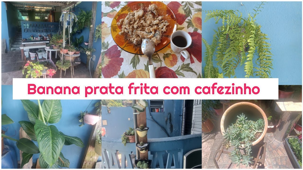 DONA DE CADA E CUIDANDO DAS PLANTAs  DA  VARANDA+BANANA PRATA 😋 +BUGANVILLE