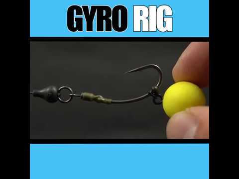 GYRO RIG