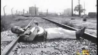 A Tribute To Steve Goodman.  Go Cubs Go!!