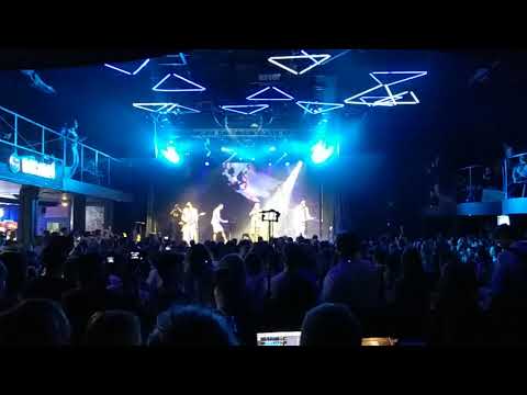 LATEXFAUNA - Surfer (live) 16.05.2018