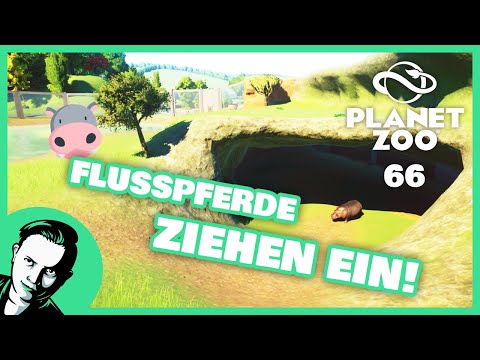 PLANET ZOO LET'S PLAY | Flusspferde ziehen ein! | Deutsch | 66