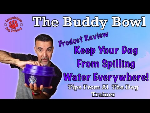 Stop Your Dog From Spilling Water | Buddy Bowl Review- Tips From Al The Dog Trainer