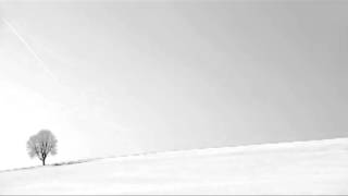 Danny norbury - Bluebeard 2