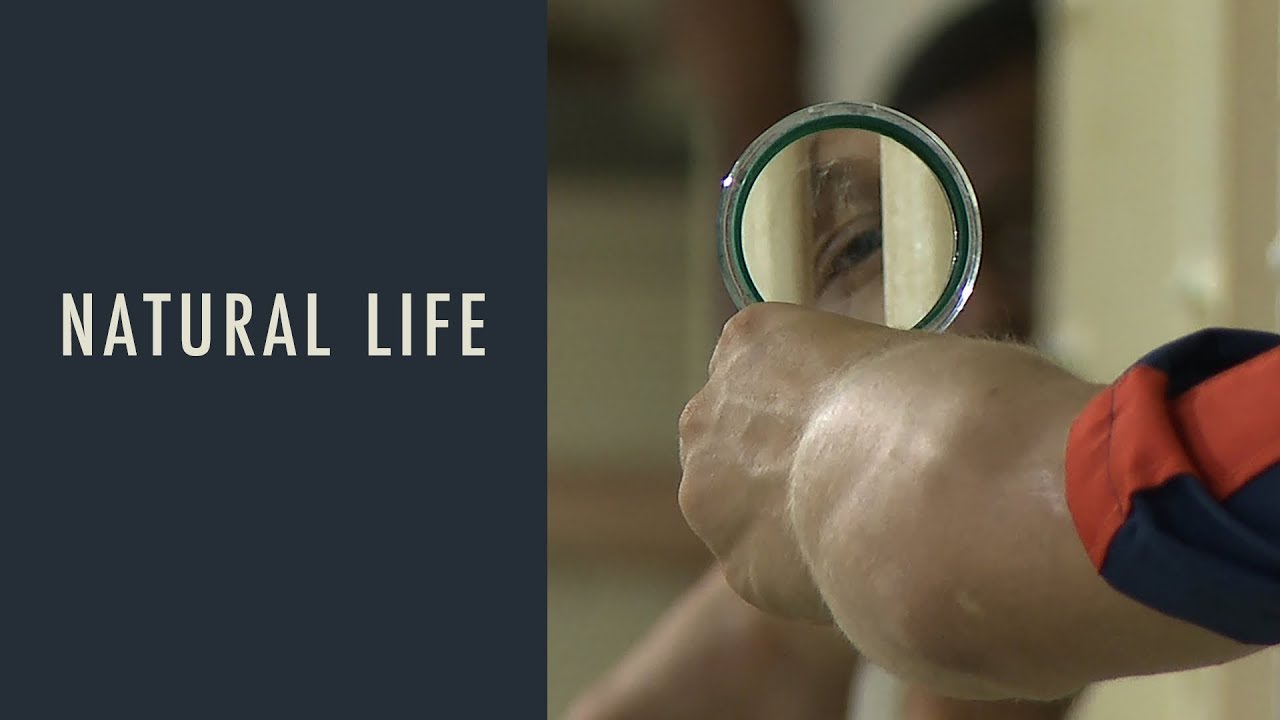 Natural Life trailer