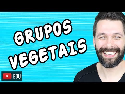 BOTÂNICA - BRIÓFITAS,  PTERIDÓFITAS, GIMNOSPERMAS e ANGIOSPERMAS | Biologia com Samuel Cunha