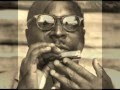 Sonny Terry-Beer Garden Blues