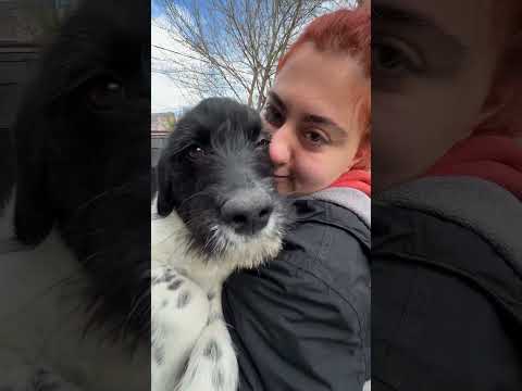 2 კვირის მერე დორი ვნახე 🥹