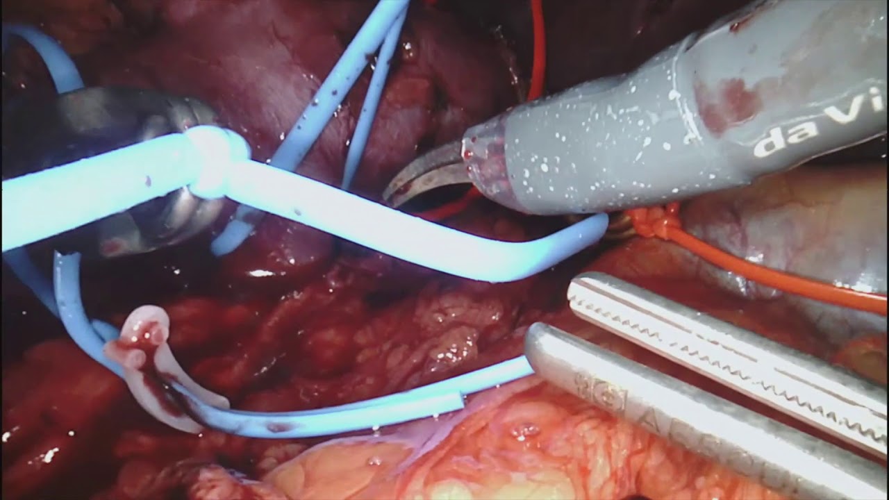 Fernando Gómez Sancha-15